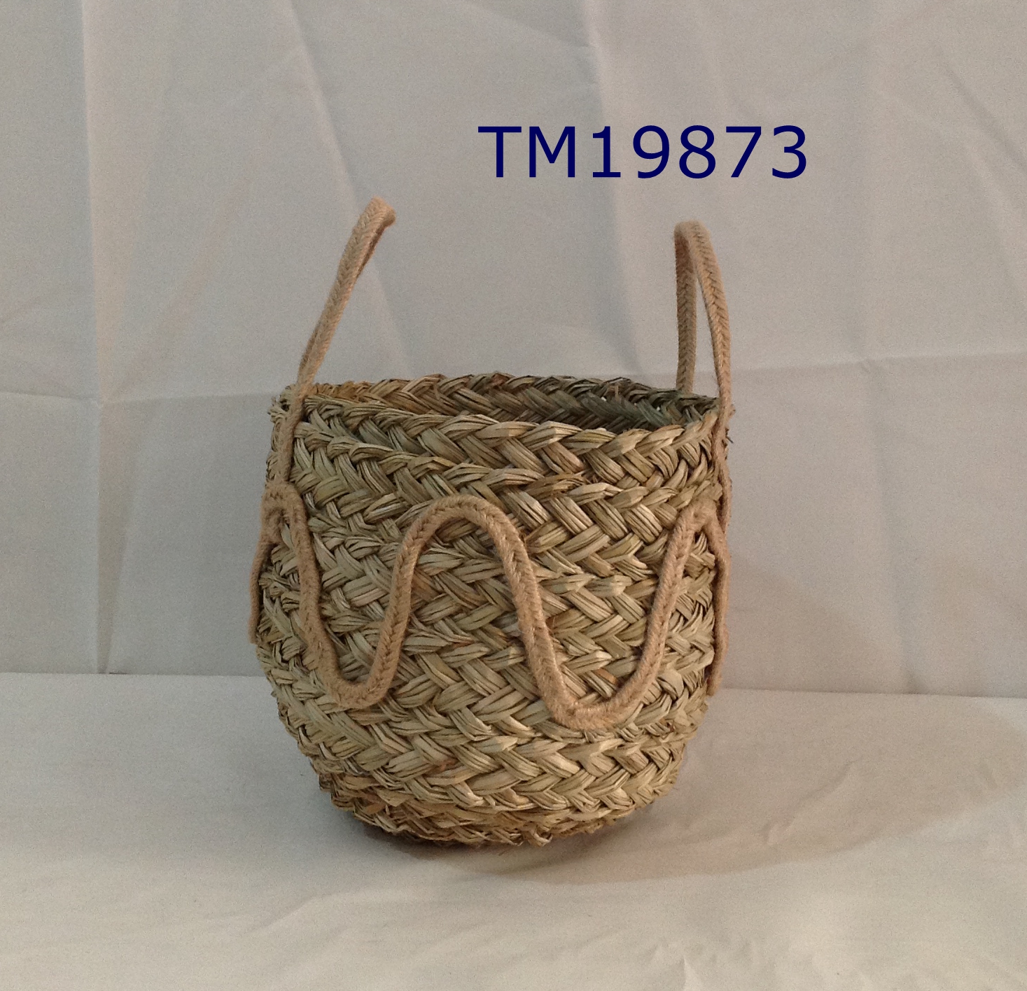 TM19873