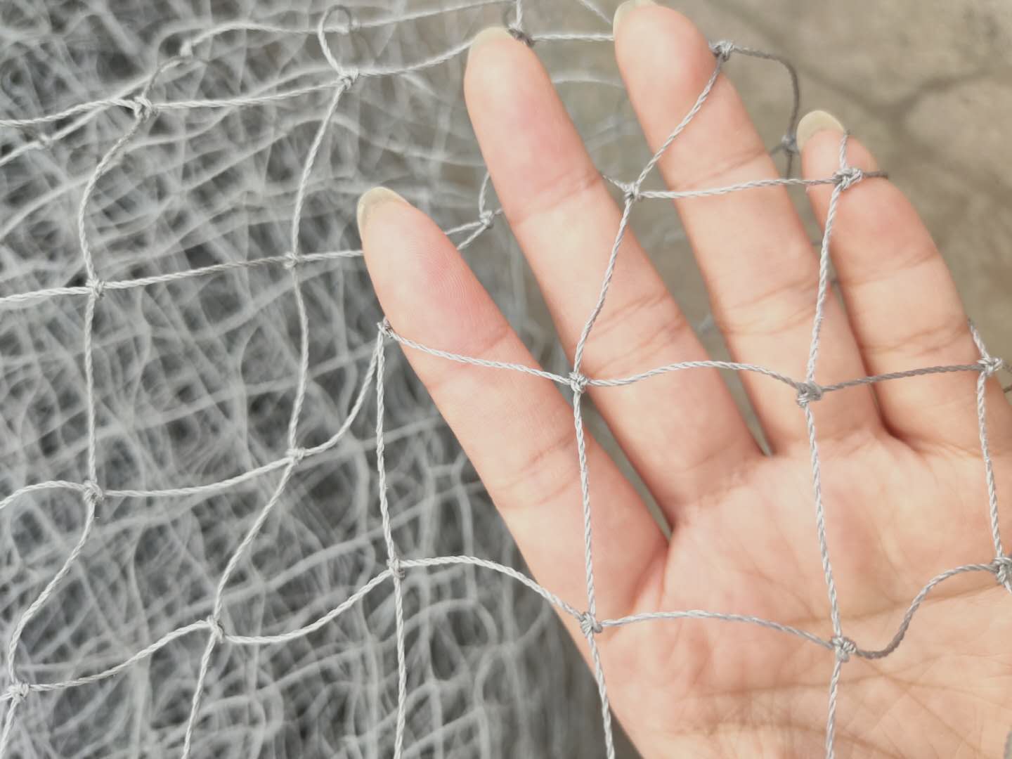 pigeon nets