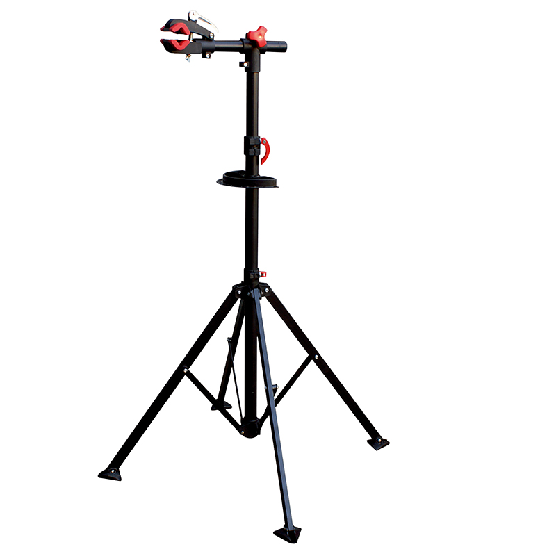 Bicycle Standard