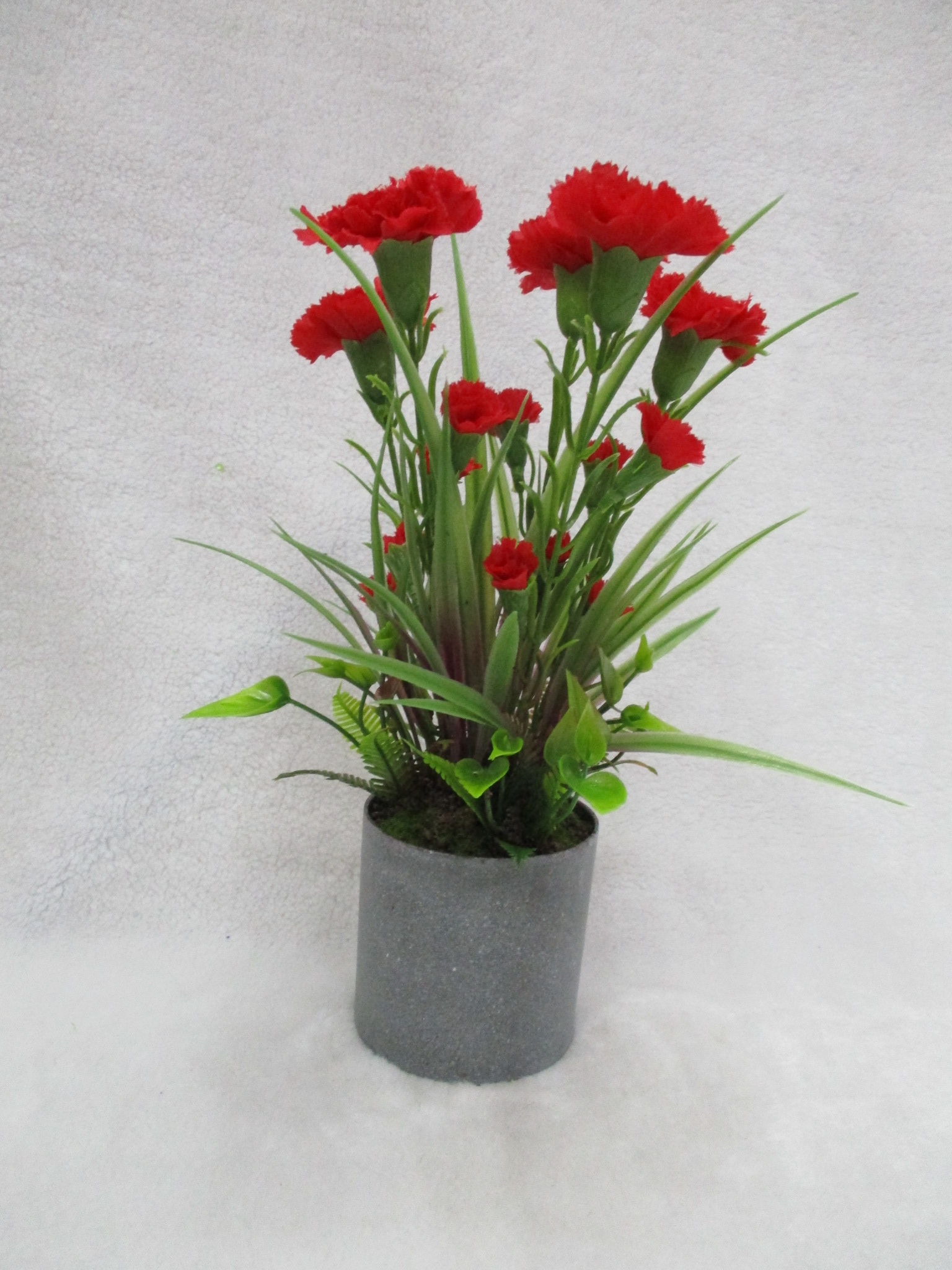 Potted Carnation