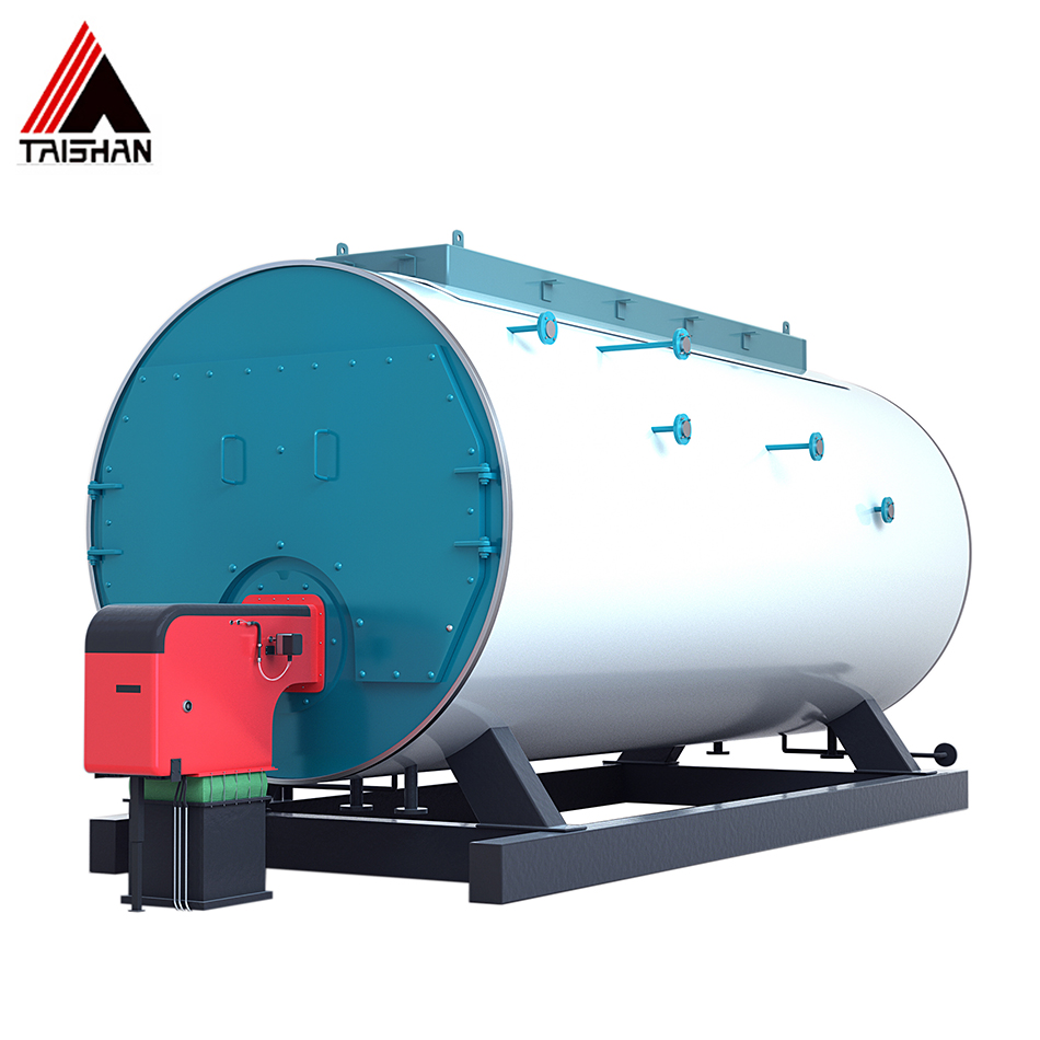 WNS gas fired steam boiler