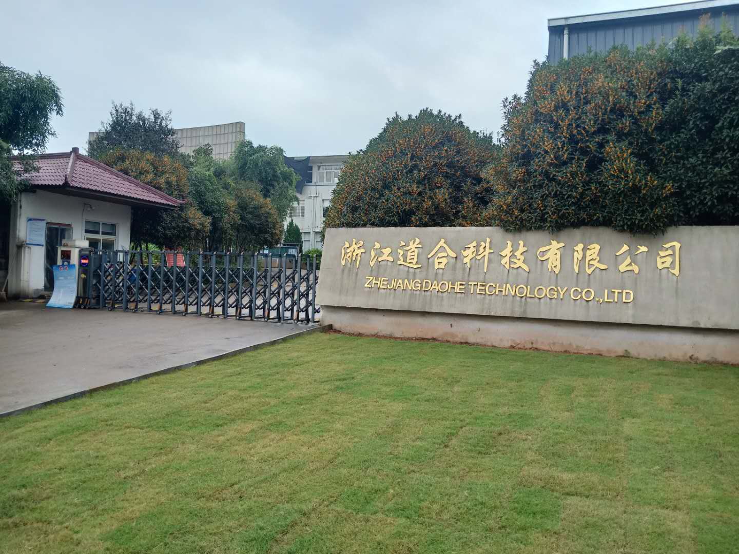 Zhejiang Daohе Technology Co., Ltd. – Party fireworks (exploding fireworks) 1