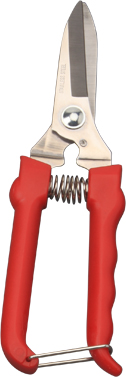 Garden Scissors；Scissors