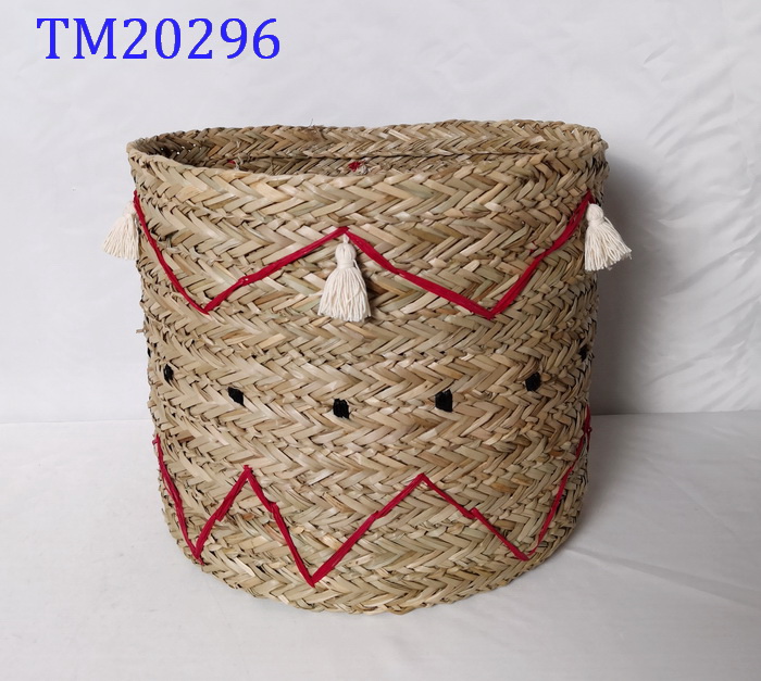 TM20296