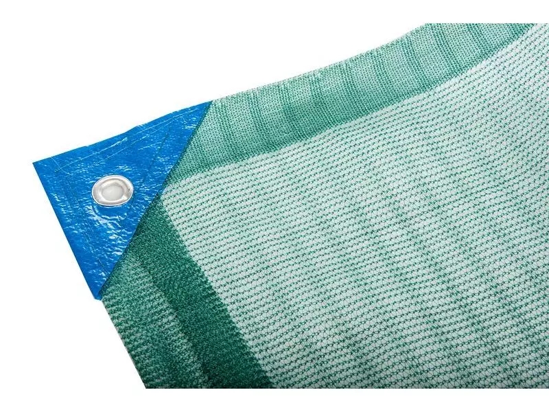 Olive net