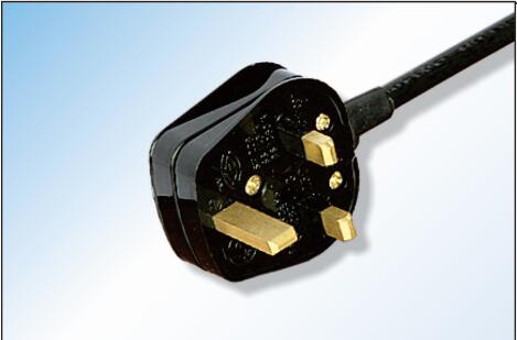 BS power cord