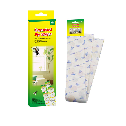 Insect Glue Traps