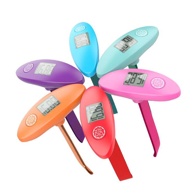 Luggage scale