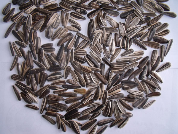 Sunflower Seeds