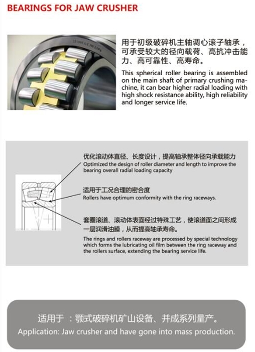 Jaw crusher bearing