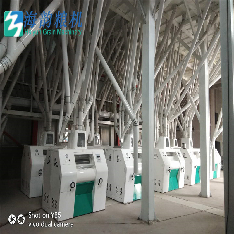 Haiyun grain machinery100tons of grain flour mill machine plant