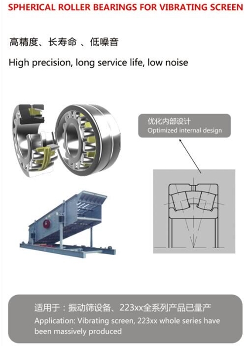 Vibrating screen bearing