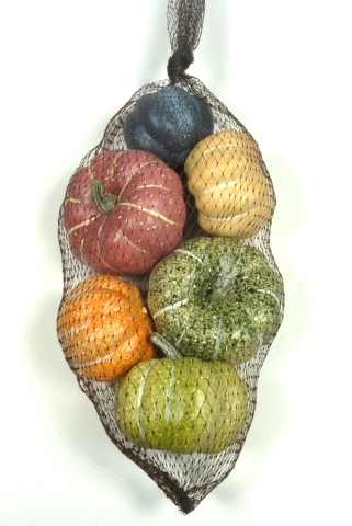 Pumpkin Bag
