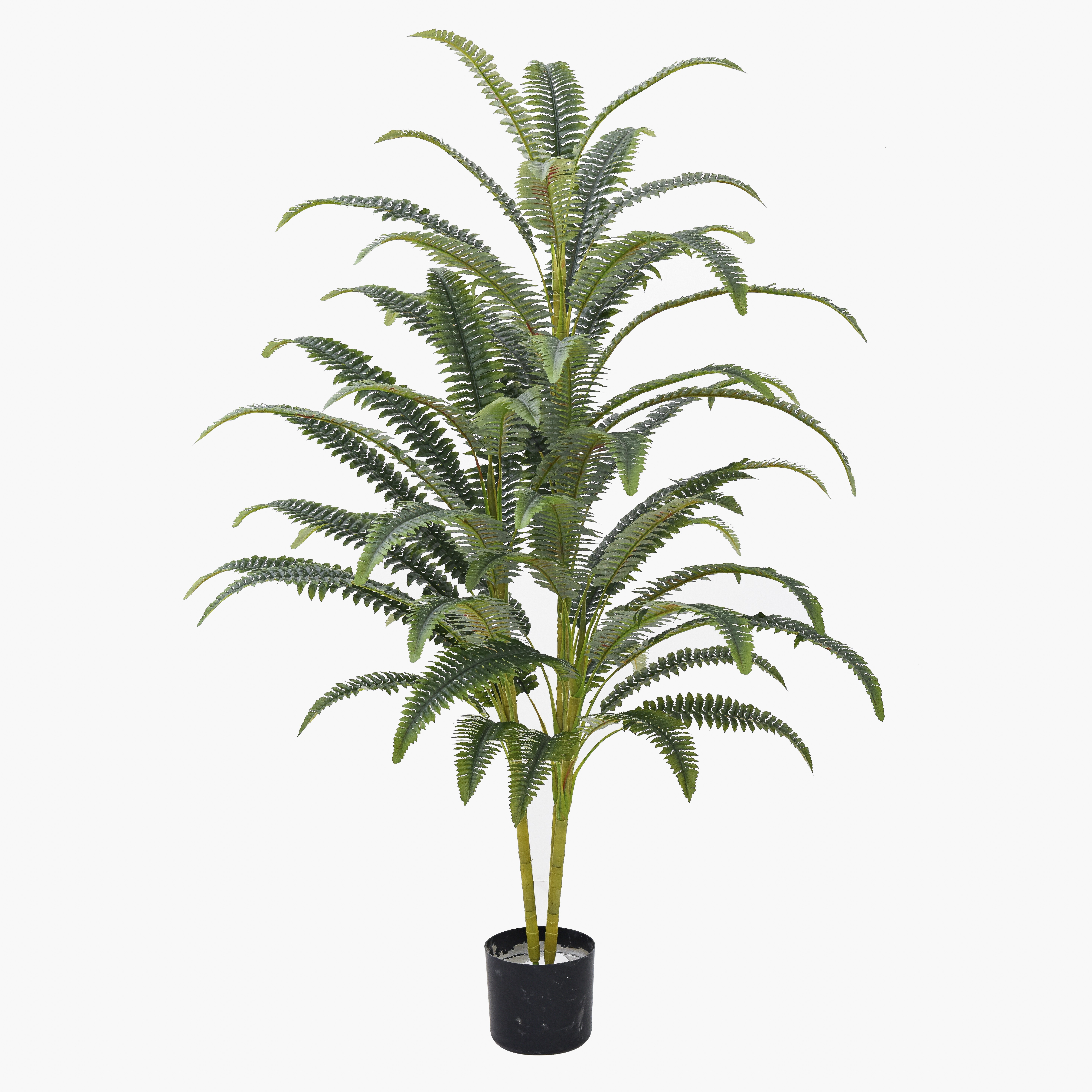 PZW42-52 emulational tree fern tree x52