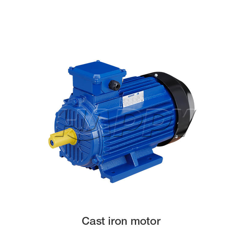Motor YE2