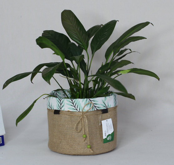 storage basket