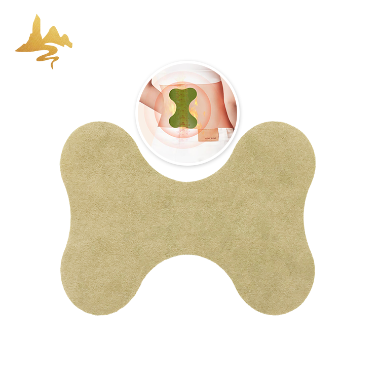 Lumbar Pain Relief Patch