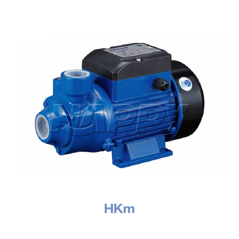 Vortex Pump HKm