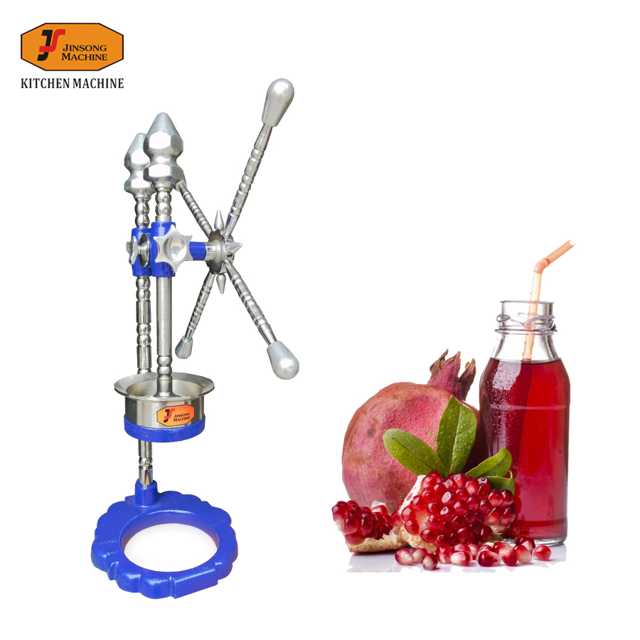 Fruit Juicer