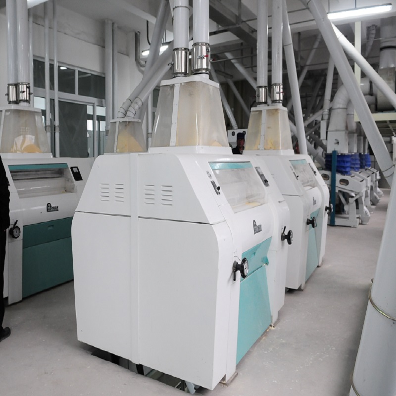 100Ton/Day Maize Flour Milling Plant with Steel Structure