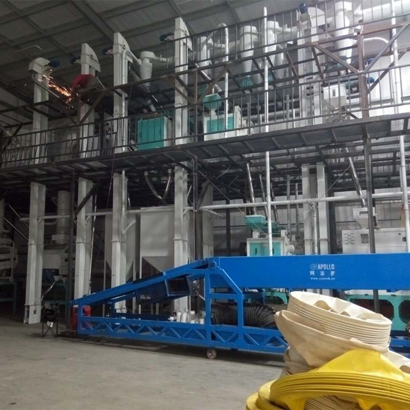 Lentil Processing Plant Lentil Peeling and Splitting Line