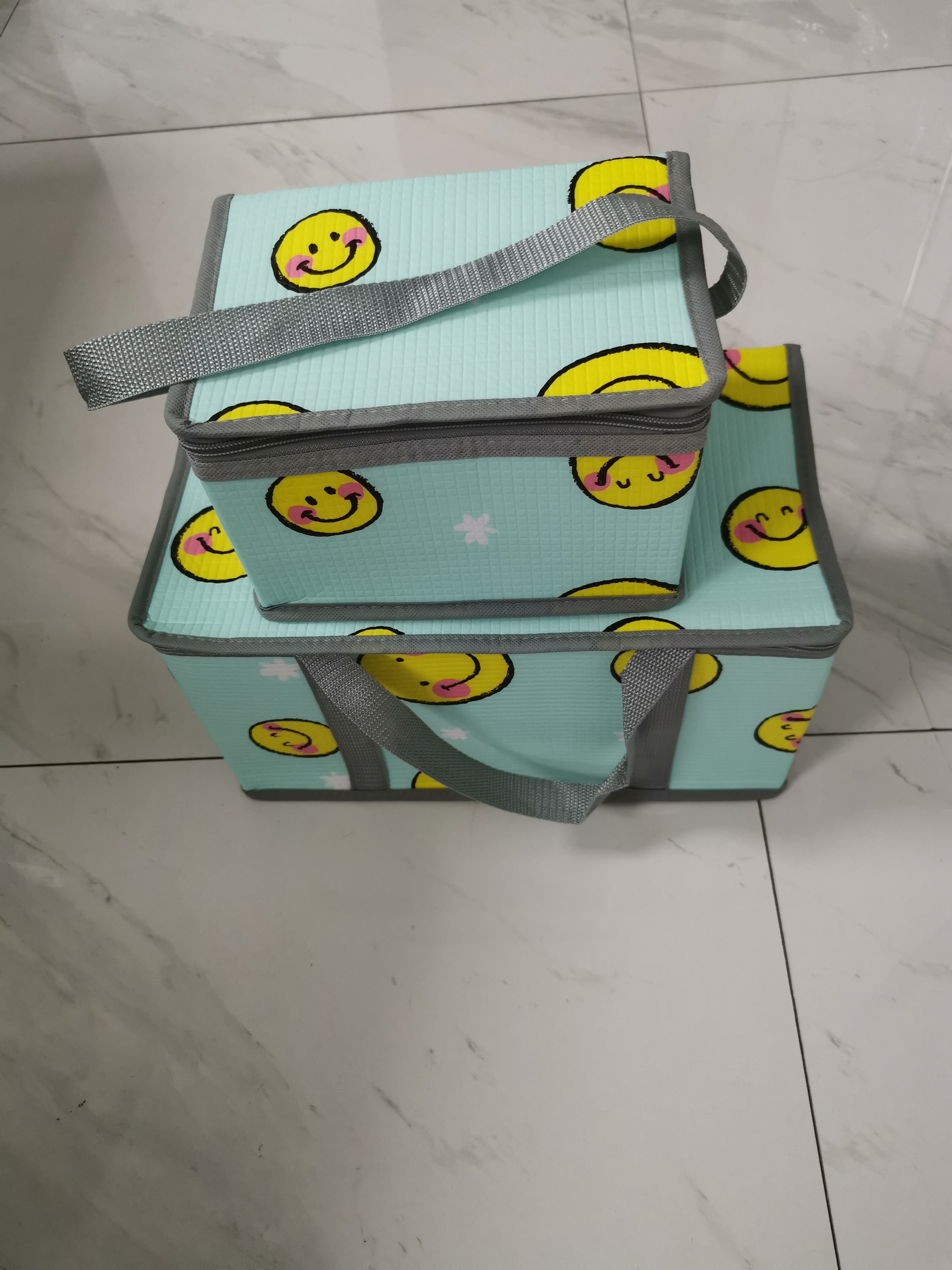 Food grade insulated Cooler Bag