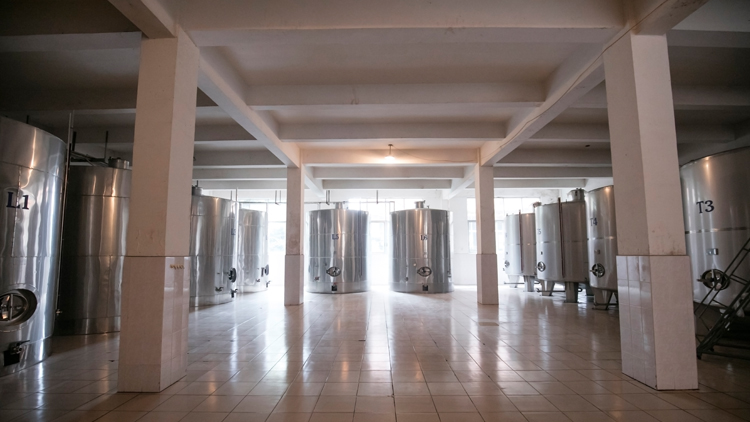 Yunnan Donchuan Changyun Impression Wine Co., Ltd. – other soft drinks 3