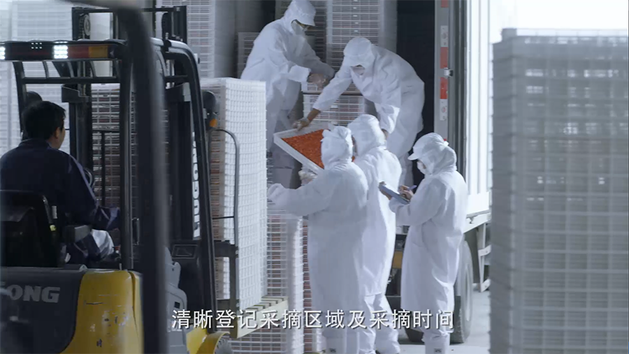 Fuma Zhangjiakou Trading Co., Ltd. – Juice puree 1