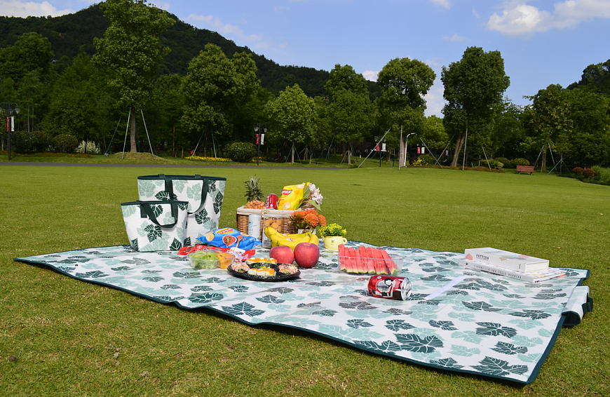 Picnic Mat