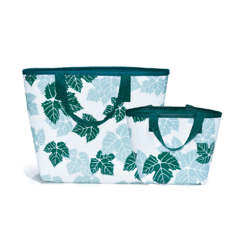 Insulated Cooler Bag