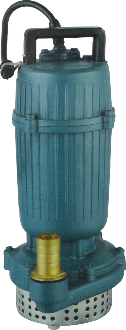 Ningbo Lili Electric Company Qdx Submersible Pumps