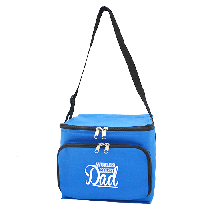Cans Beer Cooler Travel Picnic insulated Bag Beach School Cooler Bag Promotional Cooler Bag