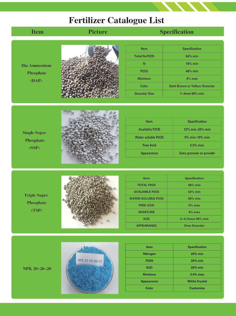 Shandong Dift International Trade Co., Ltd. – Product photos 3