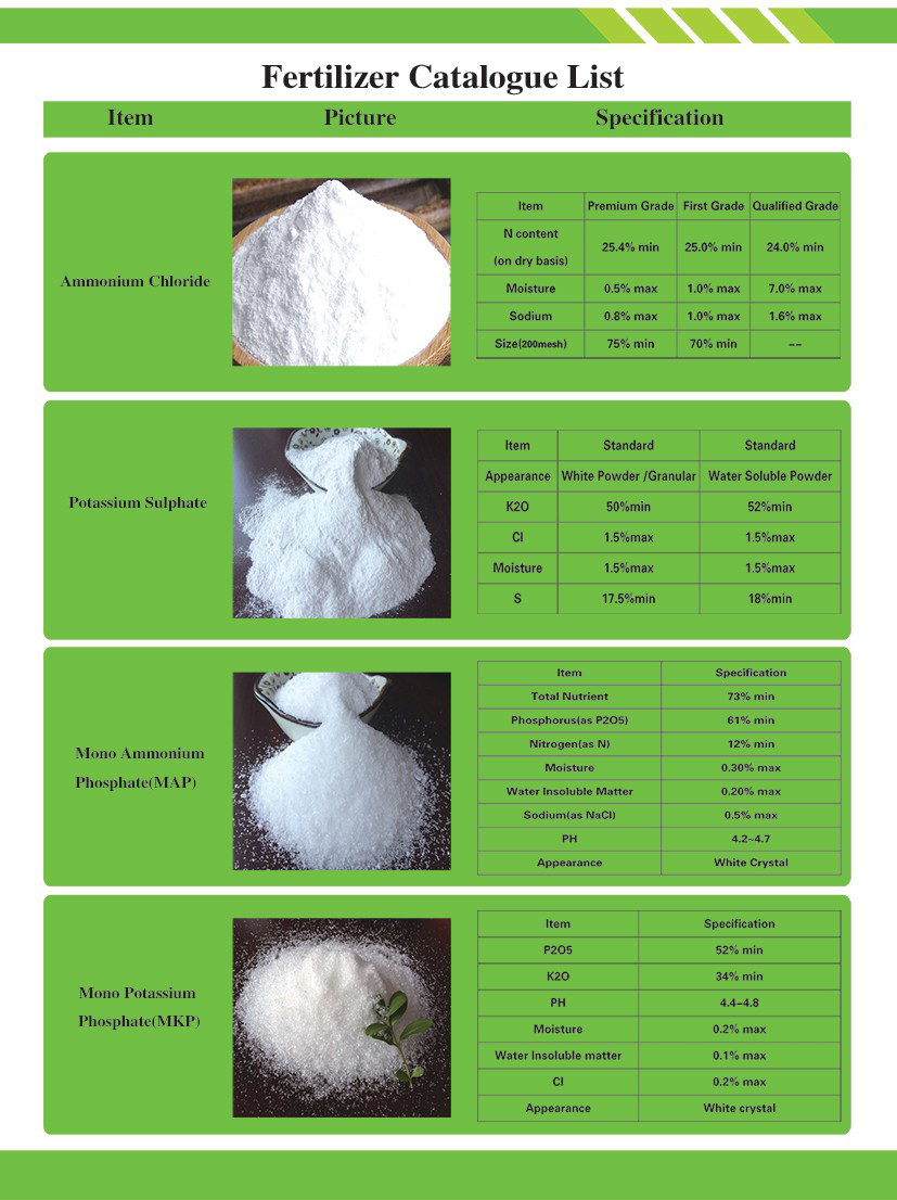 Shandong Dift International Trade Co., Ltd. – Product photos 2