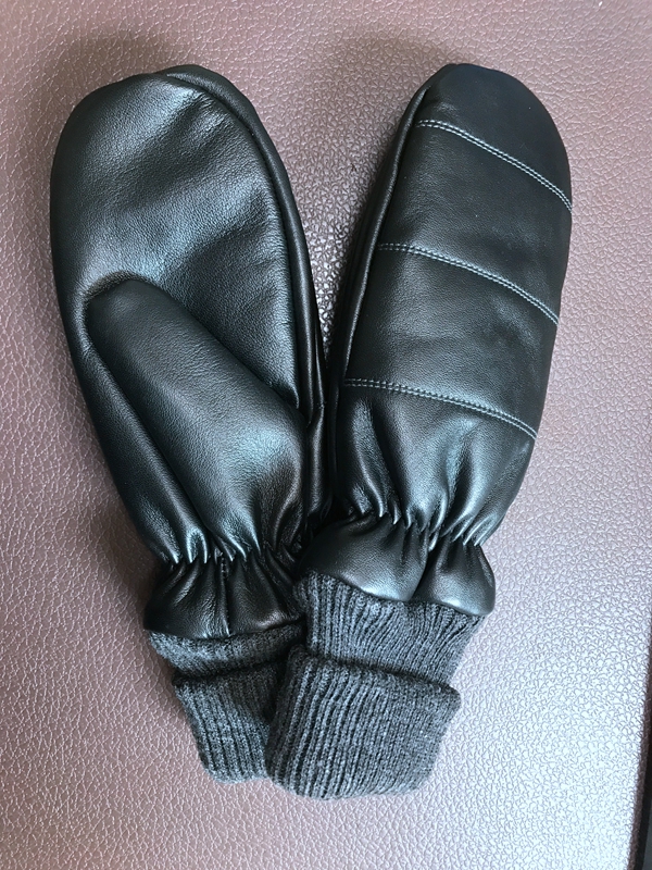 leather mitten