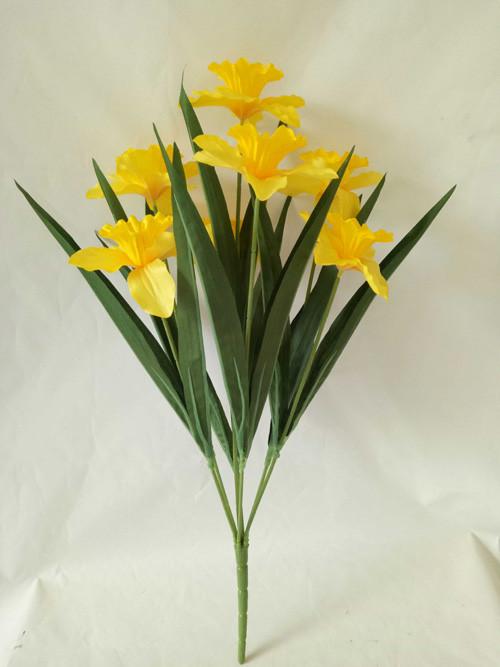 0001111daffodil bushx7,59cm