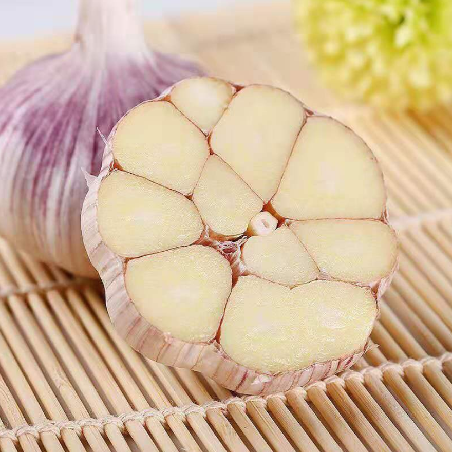 China Fresh Garlic Price