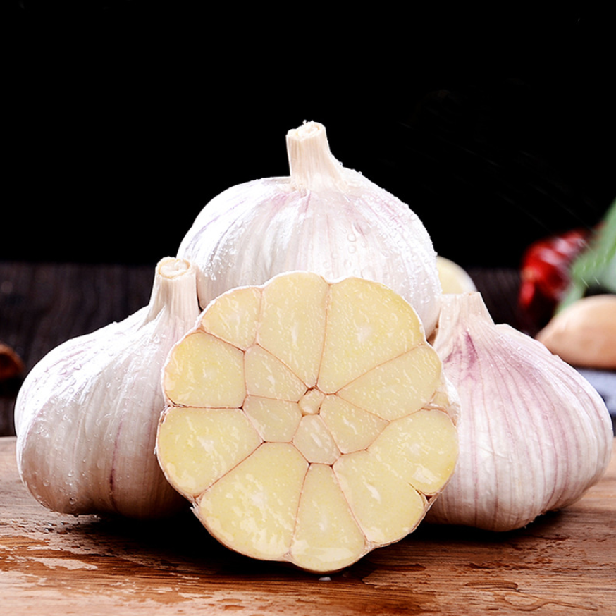 Alho Fresh garlic