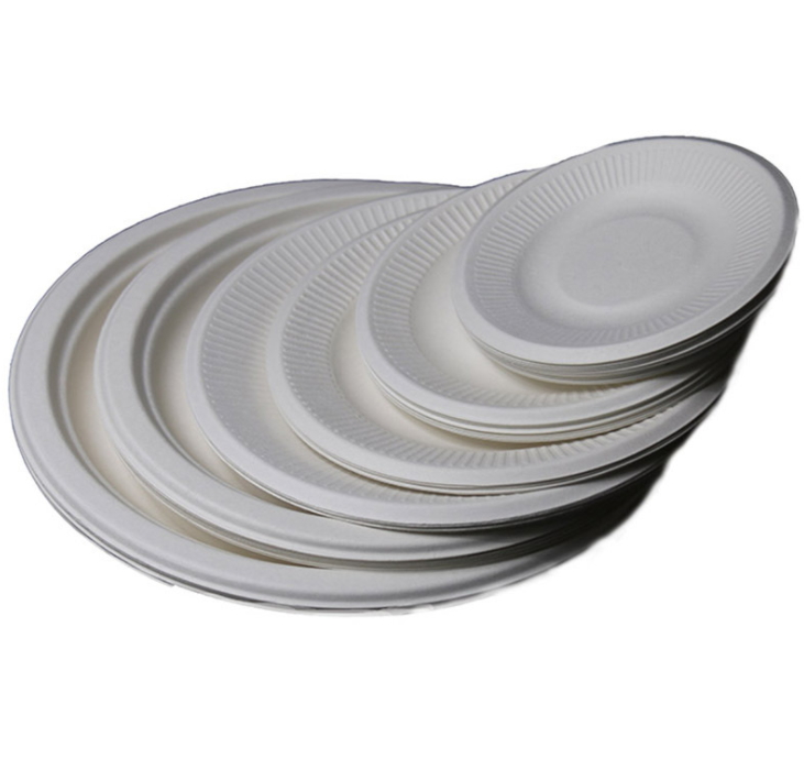 disposable sugarcane plates