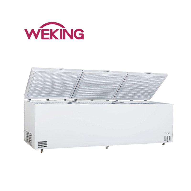 GUANGDONG WEKING GROUP CO.,LTD – Open front cooler 2