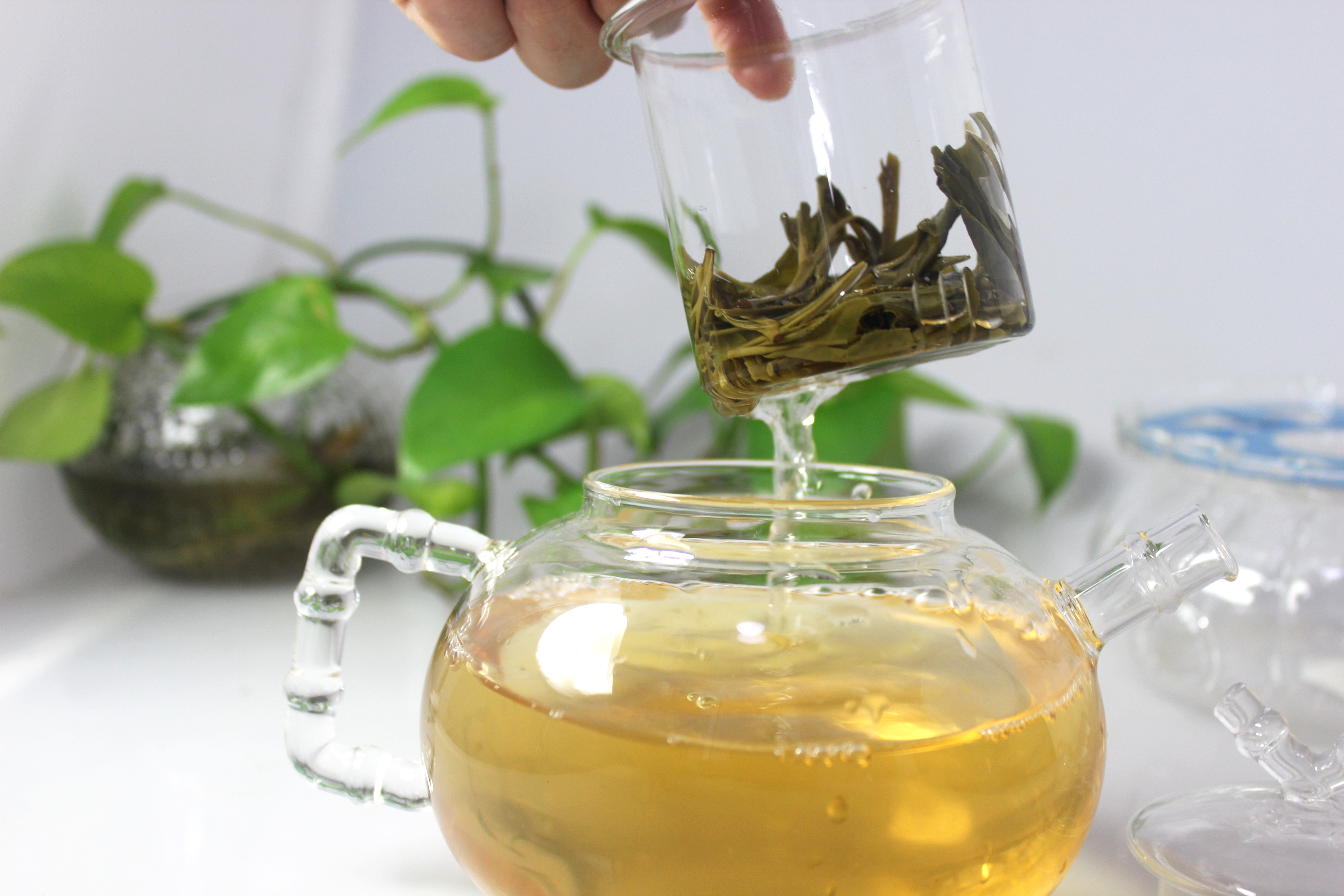 650Ml Glass Tea Cup Set with Glass Filter and Glass Lid