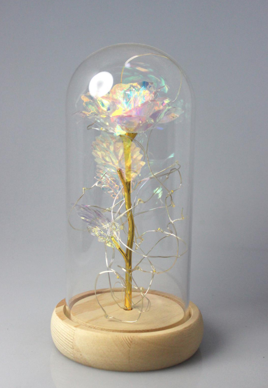 Glass dome with LED Flower decoration and bamboo base