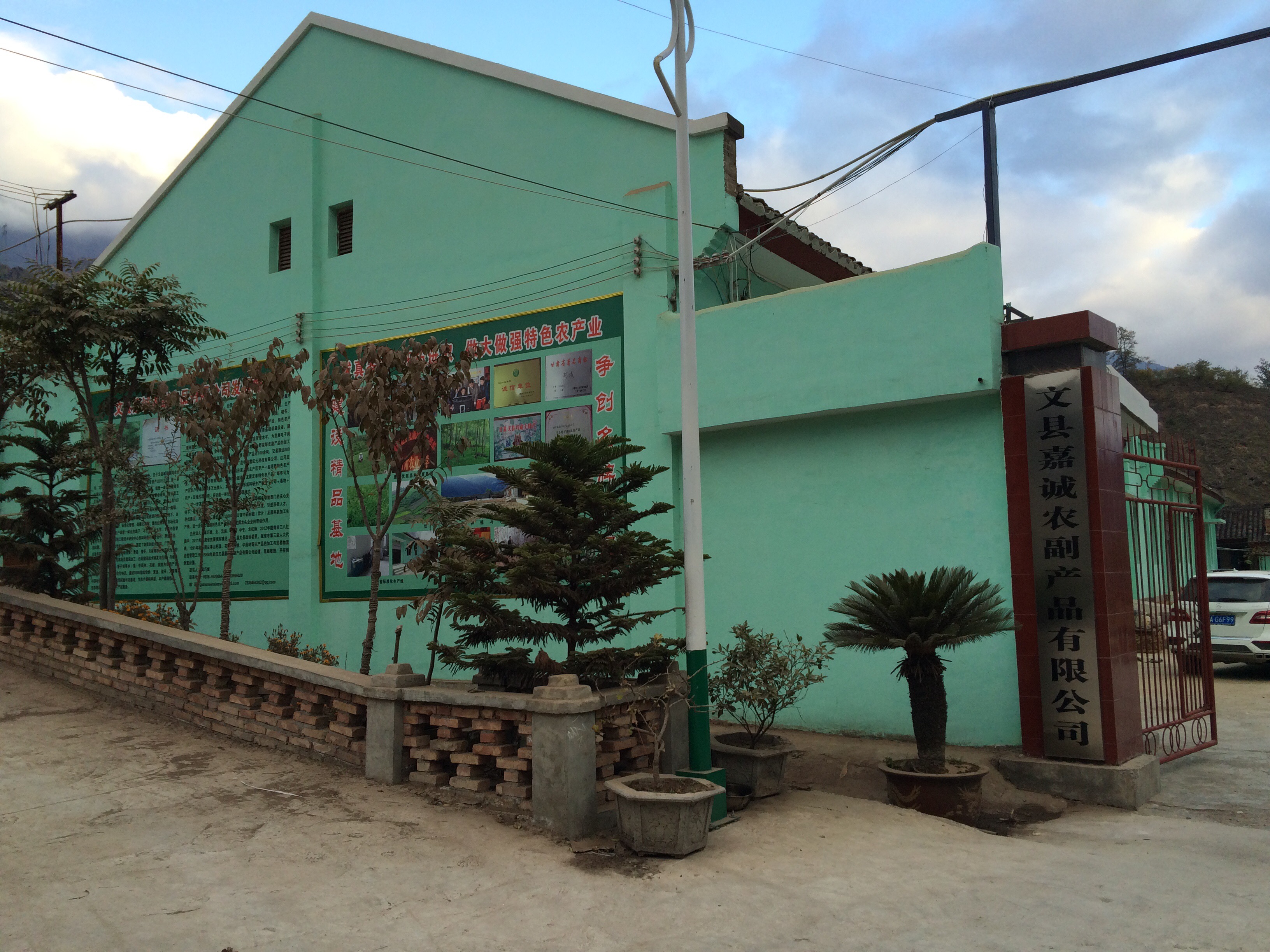 Wenxian Jiacheng Agricultural Products Co., Ltd. – 党参 1
