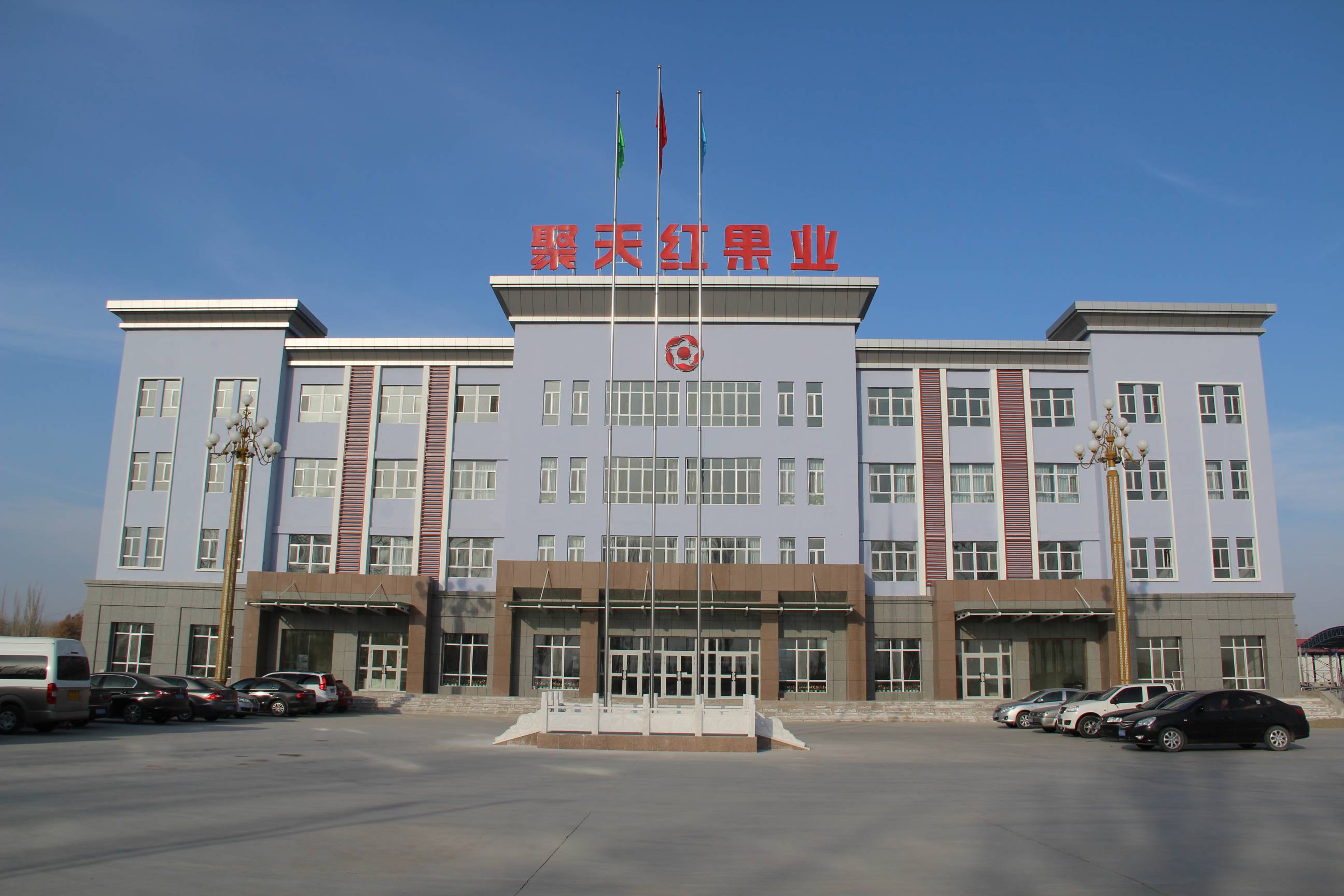 Xinjiang Aral Jutian Red Fruit Industry Co., Ltd. – Various dates and products 1