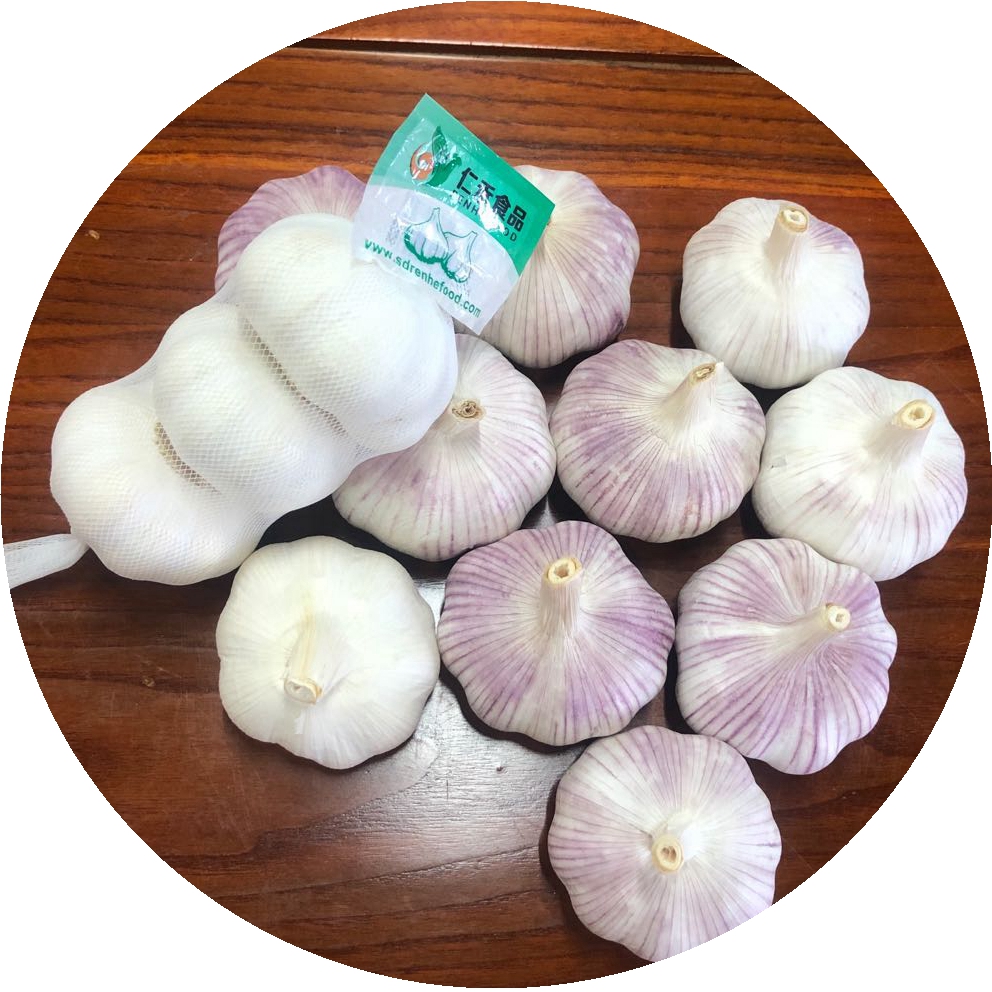 Shandong Fresh Red Garlic