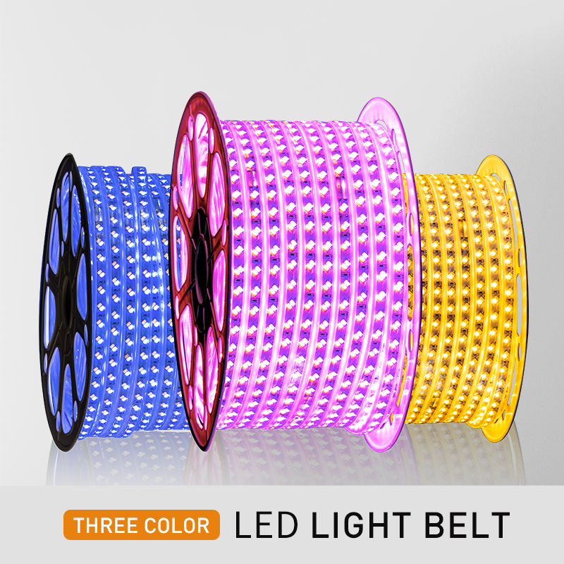 AC220V RGB LED Dtrip Light 6.5w/m 8w/m 10w/m