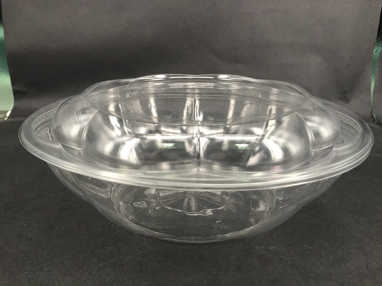 Disposable food container with lid