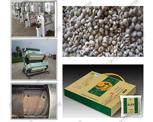 Coix Seed Dehulling and Separating Machine Job's Tears Dehuller