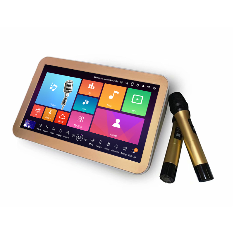 15.6 inch All-in-one karaoke machine with amplifier uhf wireless microphone