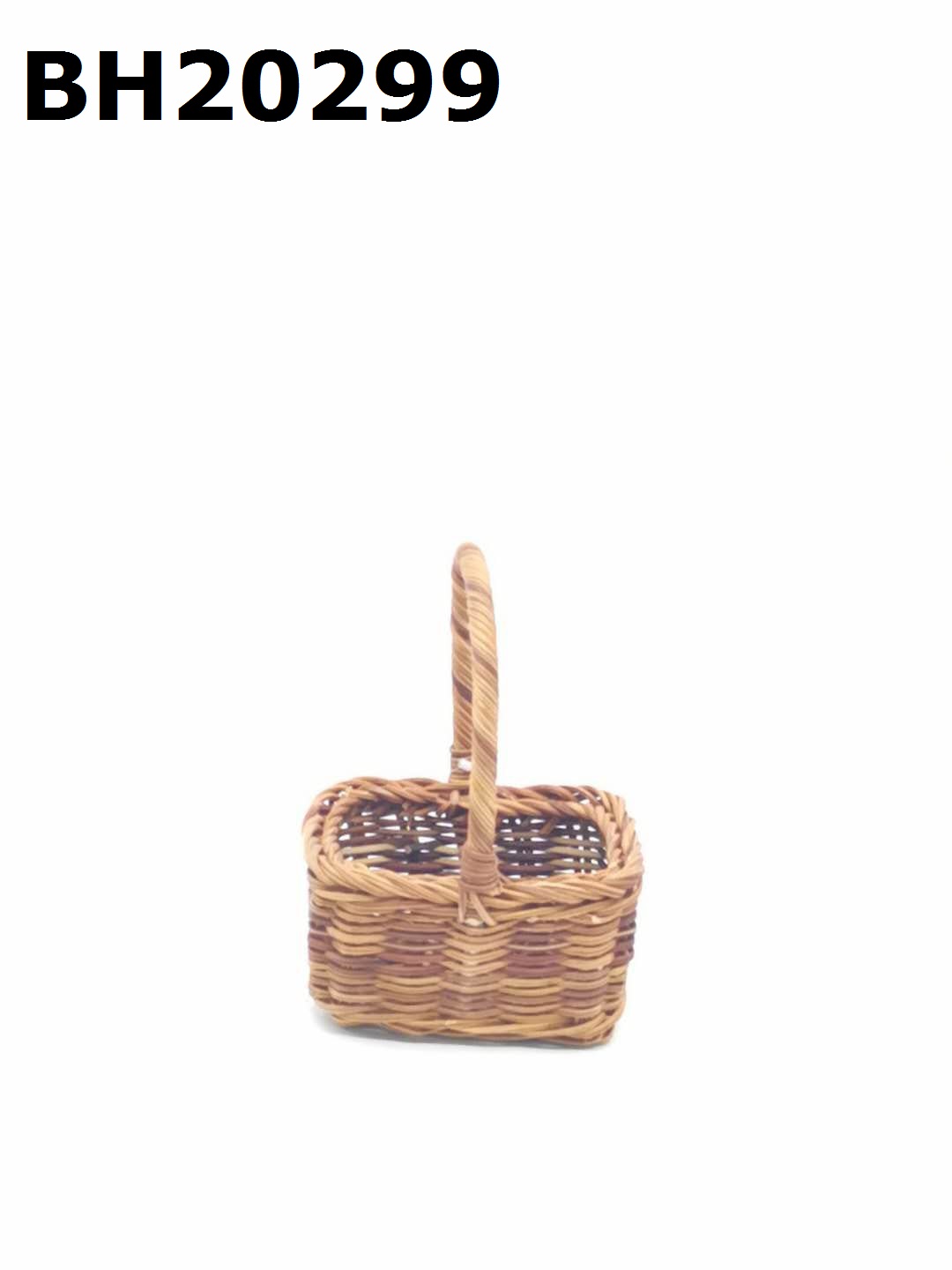 Fern Basket